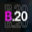 b20 image