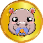 baby-hippo image