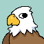 bald-eagle image