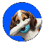 basehoundbot-by-virtuals image