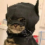 batcat image