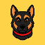 belgian-malinois image