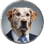 big-dog-fink image