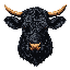 black-agnus image