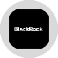 blackrock-inc-tokenized-stock-ondo image