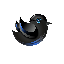 bluesparrow-token-new image