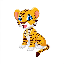 bnb-tiger-inu-top image