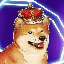 bnbdoge image