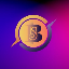 bns-coin image