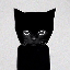 bro-the-cat image