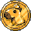 capybara-capy image