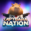 capybara-nation image