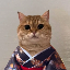 cat-own-kimono image