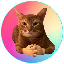 cat-wif-hands image