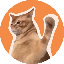 catslap image