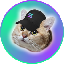 catsolhat image