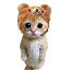 catwifhat image