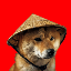 chinese-doge-wow image