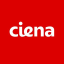 ciena-corp-derivatives image