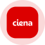 ciena-tokenized-stock-ondo image