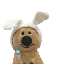 coby image