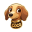 coco image