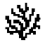 coral-protocol image