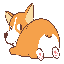 corgicoin-net image