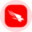 crowdstrike-holdings-inc-derivatives image
