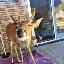 deer-seized-by-us-government image