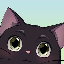 dippy image