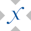 direxion-semiconductor-bull-3x-tokenized-etf-xstock image
