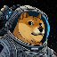 doge-1-satellite image