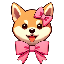 dogita image