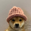 dogwifhat-eth image