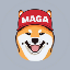 dogwithcap image