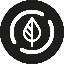 dovu-earth image