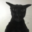 evil-larry image
