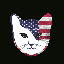 felis image