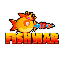 fishwar image