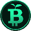 green-bitcoin image