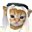 habibi-cat image