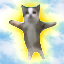 happy-cat-on-sol image