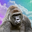 harambe-on-solana image