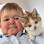 hasbullas-cat image