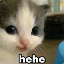 hehe-sol image