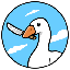 honk image