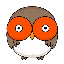 hoot image
