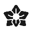 kaiko image