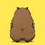 kappy image